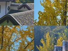 -岳麓书院