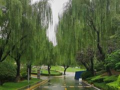 -西安国际创新人才交流中心•药浴温泉