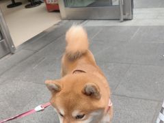 -Peet's 皮爷咖啡(陆家嘴中心店)