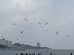 -幸福门