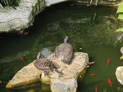 -谷咖啡·鲜花绿植花园餐厅