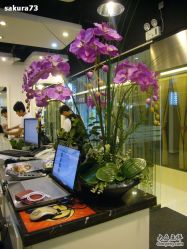 服务台-DRG达人馆造型