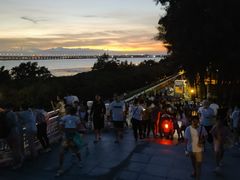 -宝安西湾红树林湿地公园