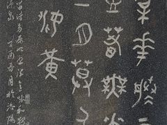 -洛阳市隋唐城遗址植物园