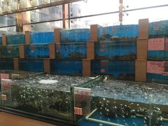 水产区-东方之珠海鲜酒楼(南开店)