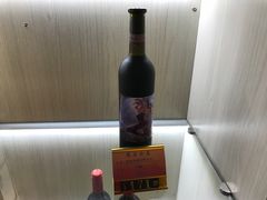 -北京张裕爱斐堡酒庄