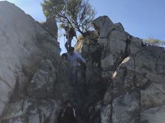 -北京鹫峰国家森林公园