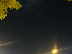-陶然轩(沙面店)