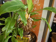 -隐厨·海鲜餐厅(恒通路店)