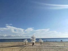 -海云台海滩