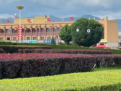 -特克斯八卦城