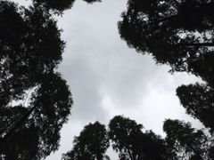 SS-上海怡沁园度假酒店