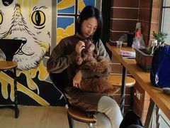 -美联众合宠物医院·爱萌分院·内外科·猫科中心