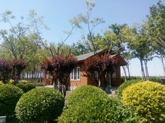 -东疆建设开发纪念公园