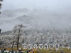 景点-毕棚沟景区