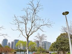 -尚贤河湿地