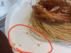 -鱼翅楼·津派砂锅鱼翅(水上公园店)