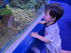 -上海大自然野生昆虫馆(东方明珠·爬宠昆虫探索中心)