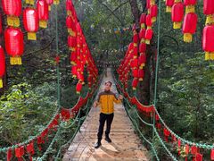 -五营红松林海景区