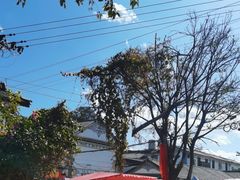 -喜洲杨记破酥粑粑