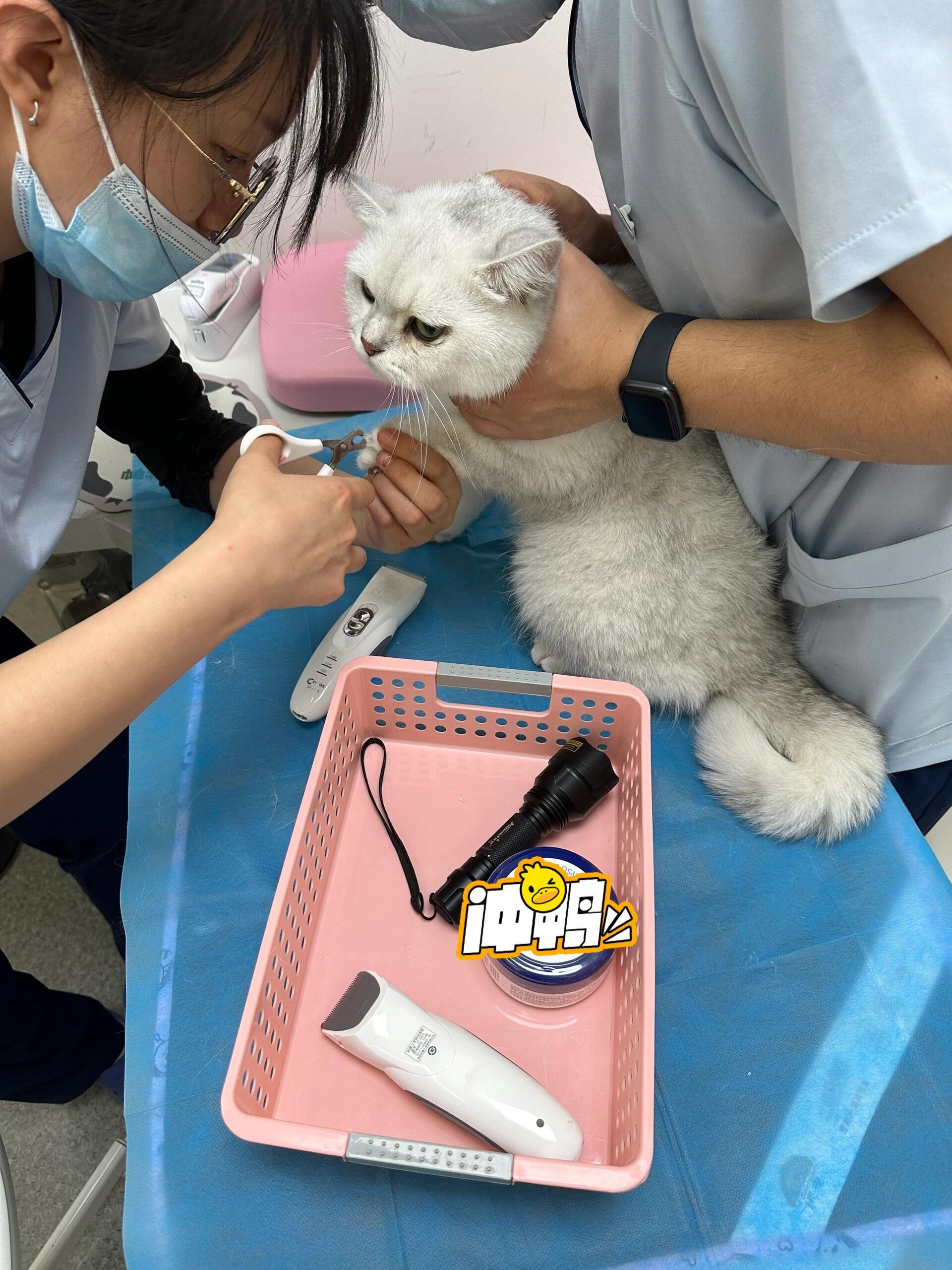 关于协和医院代挂专家号加代问诊儿童诊疗耐心陪伴,减少抗拒与哭闹的信息 关于协和医院代挂专家号加代问诊儿童诊疗耐心陪伴,减少抗拒与哭闹的信息