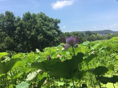 -韶山毛泽东同志故居