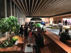 -Seesaw Coffee(朝阳大悦城店)