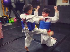 -金翼跆拳道巴西柔术拳击格斗学院