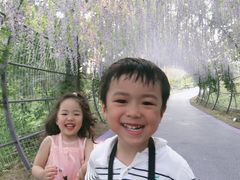 -大塘金香草谷