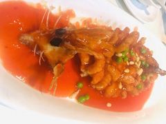 -丁老爷子苏香圆