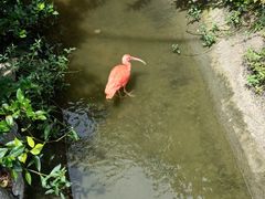 -上海野生动物园