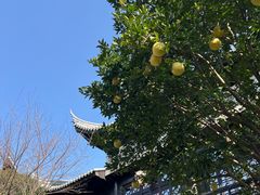 -上海皇廷花园酒店·御宴中餐厅