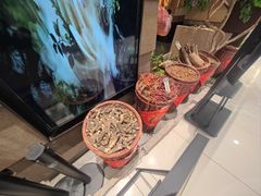 -凯德广场(金牛店)