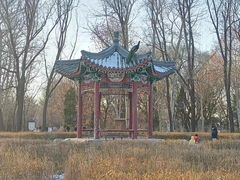 -北京麋鹿生态实验中心