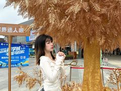 -万科生活广场(东莞松山湖店)