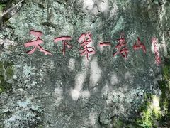 -王顺山国家森林公园