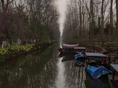 -合肥滨湖国家森林公园