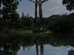 -泰煌鸡·上海白斩鸡·鸡汤面(万航店)