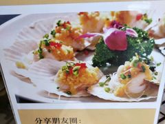 -强记海鲜·大排档(蛇口新街店)