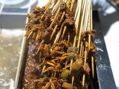 -串一火锅(赛格国际购物中心店)