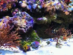 -石林冰雪海洋世界