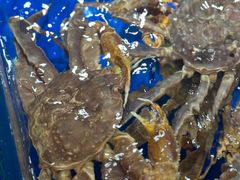 -79号渔船海鲜饭店(华强北店)