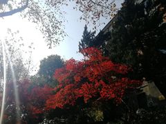 -浙江大学(玉泉校区)