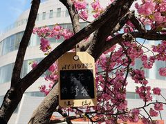 -伊顿幼儿园(济南大地锐城校区)