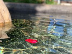-七彩云南古滇温泉山庄