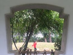 -晓港公园