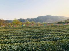 -婺源月亮湾