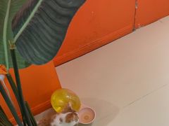-三花喵·撸猫购宠·宠物生活馆(虹桥南丰城店)