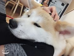 -YCHL Studios健身工作室(市二宫店)