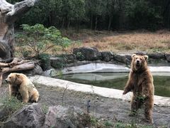 -宁波野生动物园